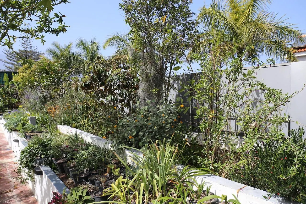Jungle Paradise La Orotava