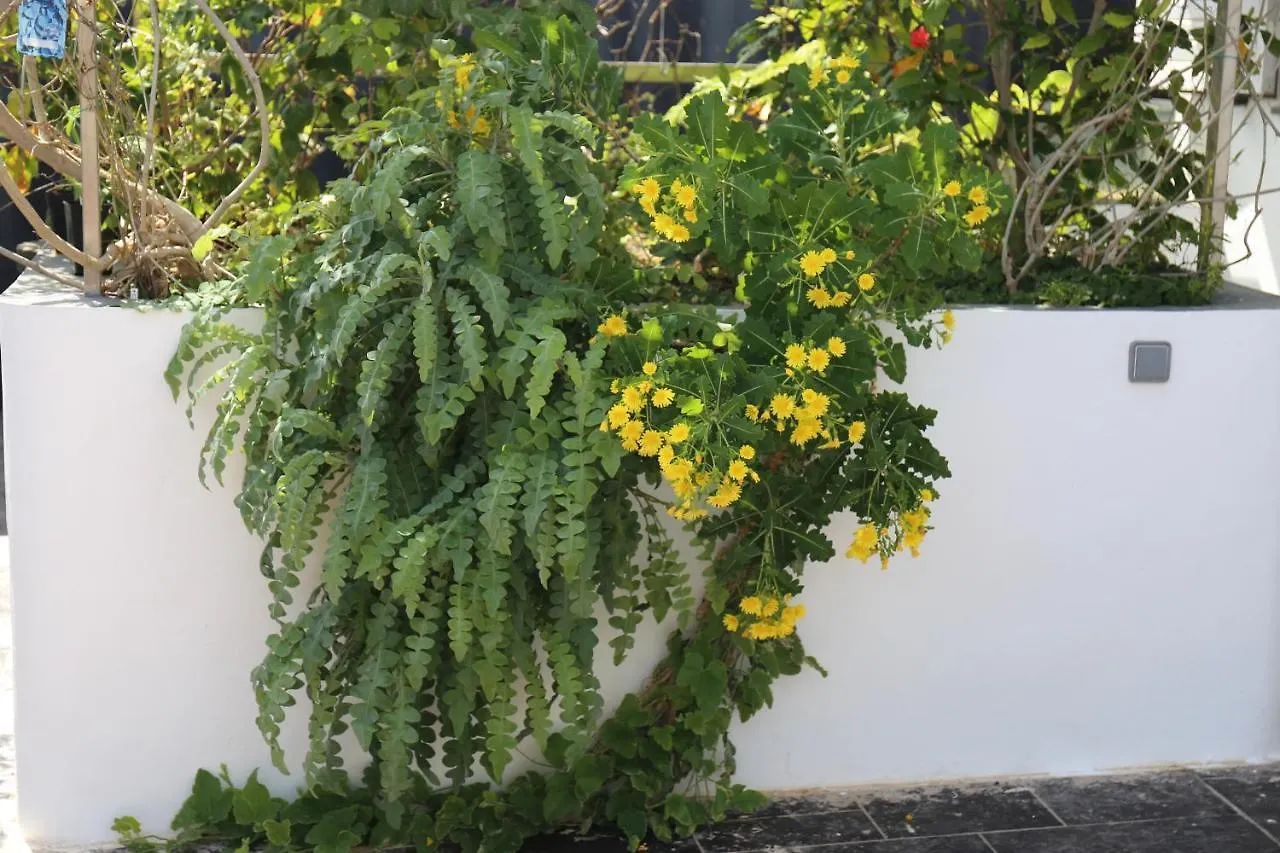 Apartamento Jungle Paradise La Orotava Espanha
